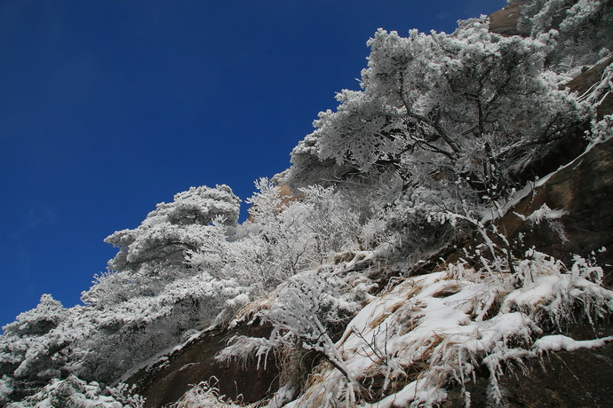 “黄山第五绝”——冬雪