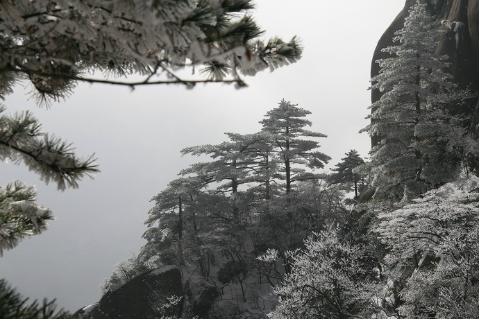 “黄山第五绝”——冬雪