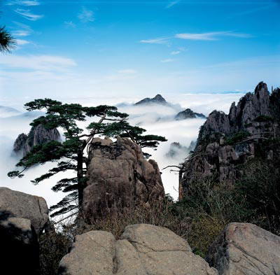 黄山旅游摄影—狮子峰上天然盆景图.jpg